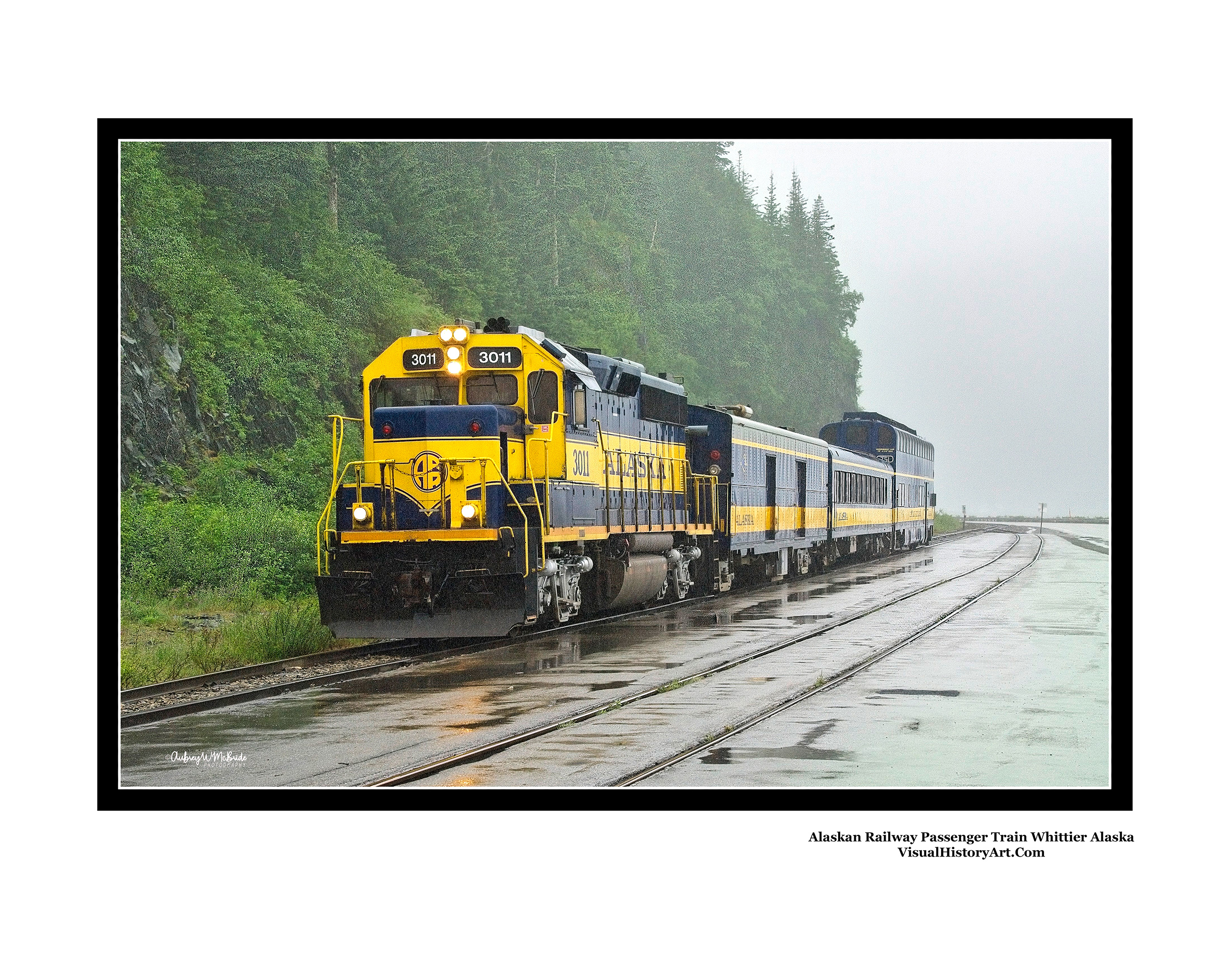 Alaska Railway Passenger Train Whittier Alaska