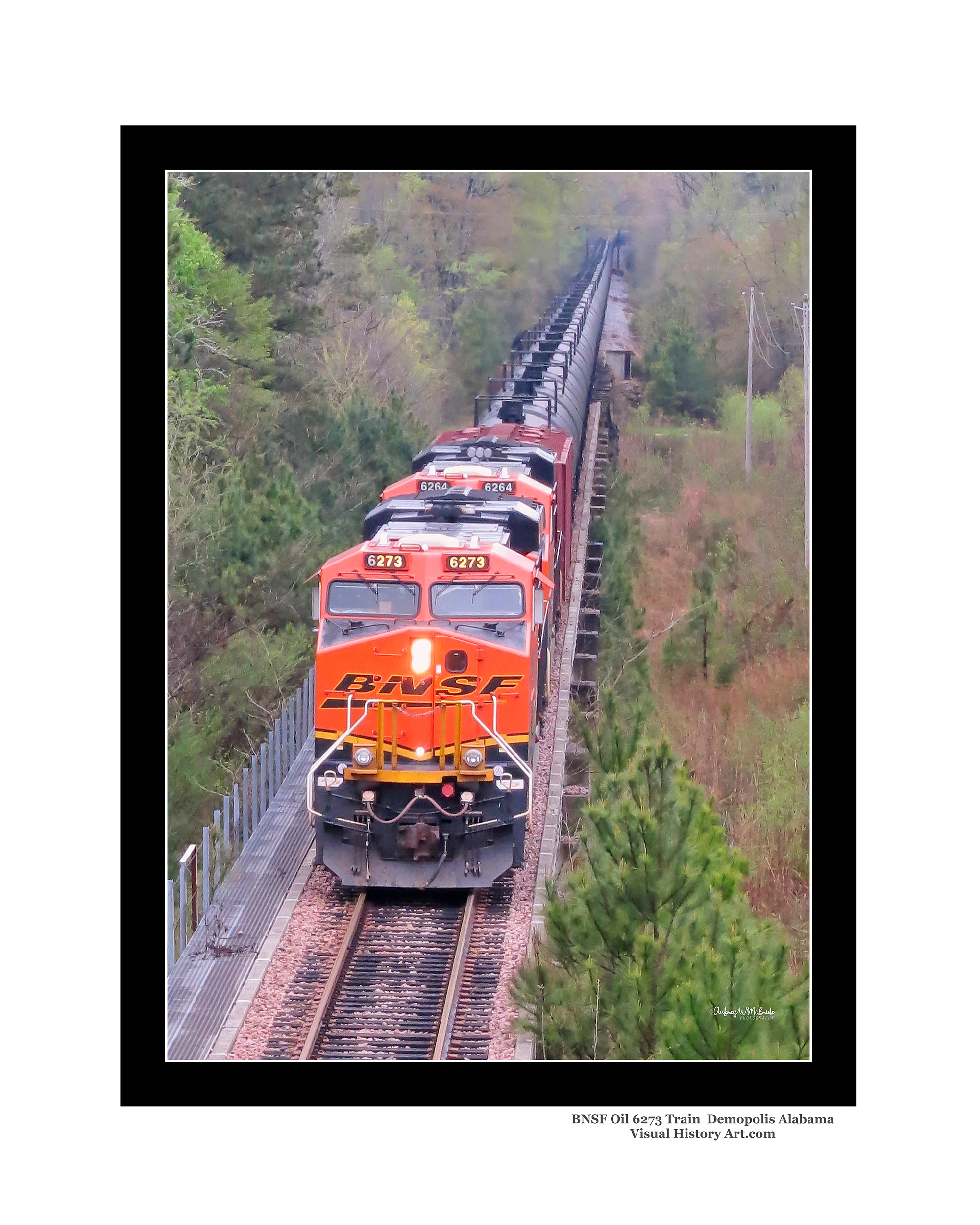 BNSF Oil Train 6273 Bridge Demopolis Alabama