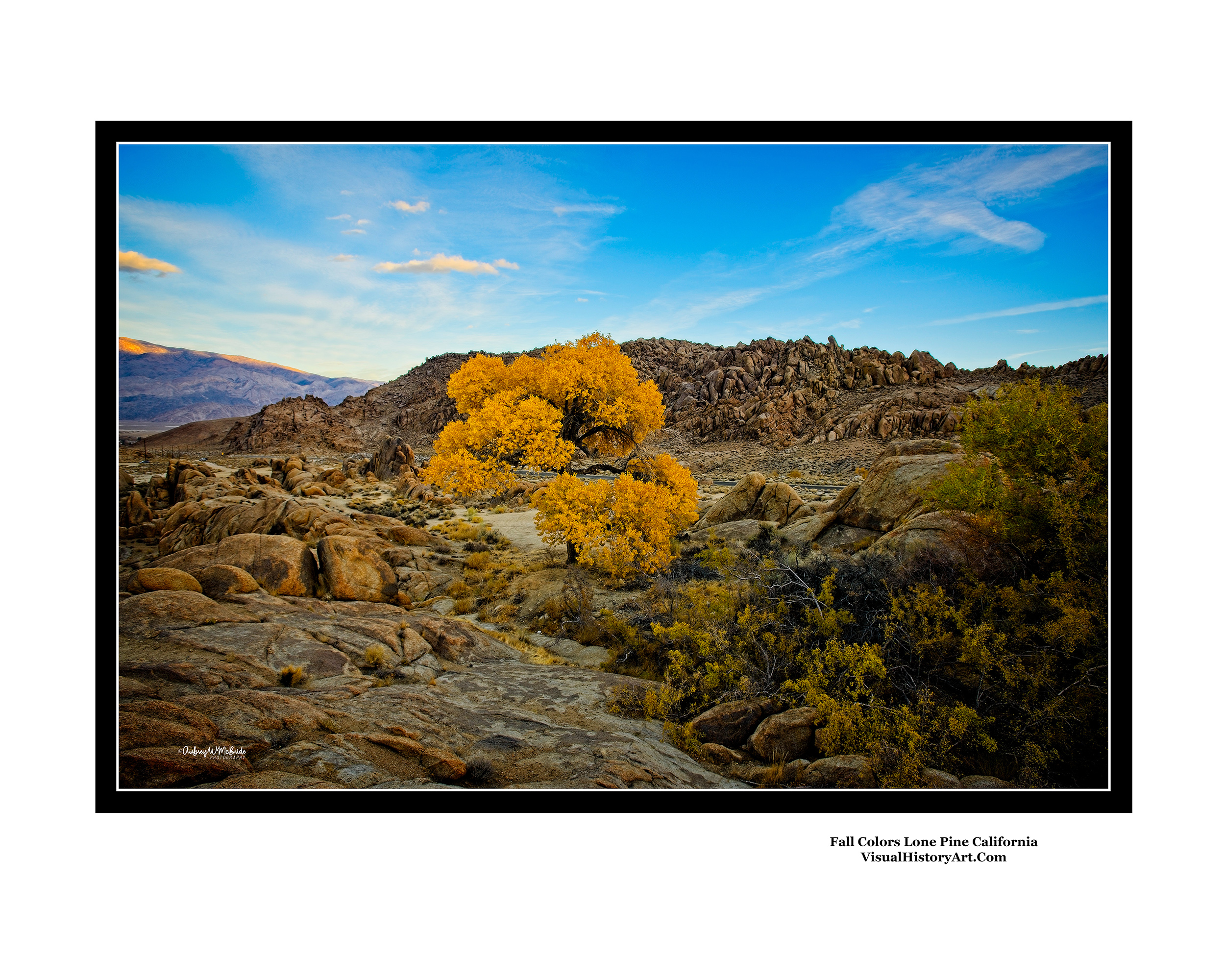 Fall Colors Lone Pine California